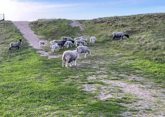 3 Bedroom Stunning In Ferienhaus *